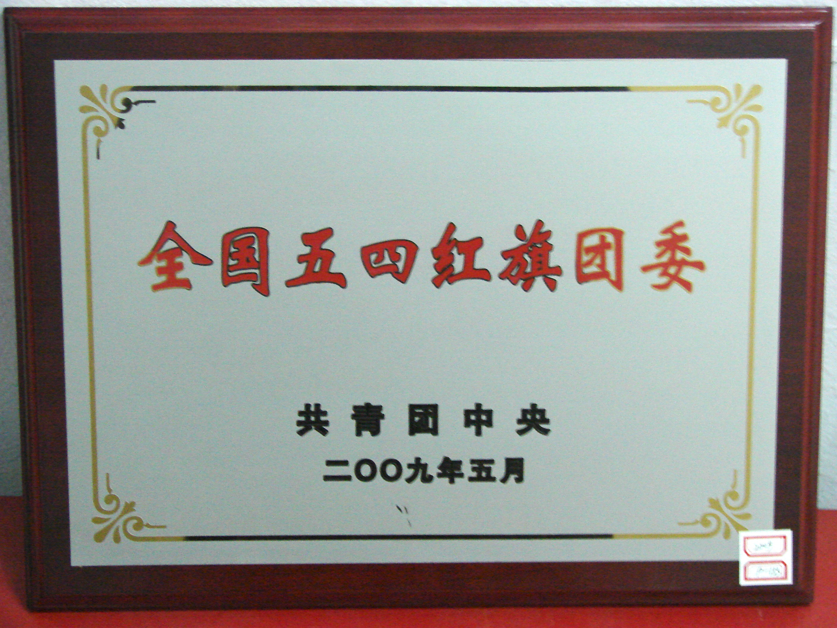 2010 全國(guó)五四紅(hóng)旗團委