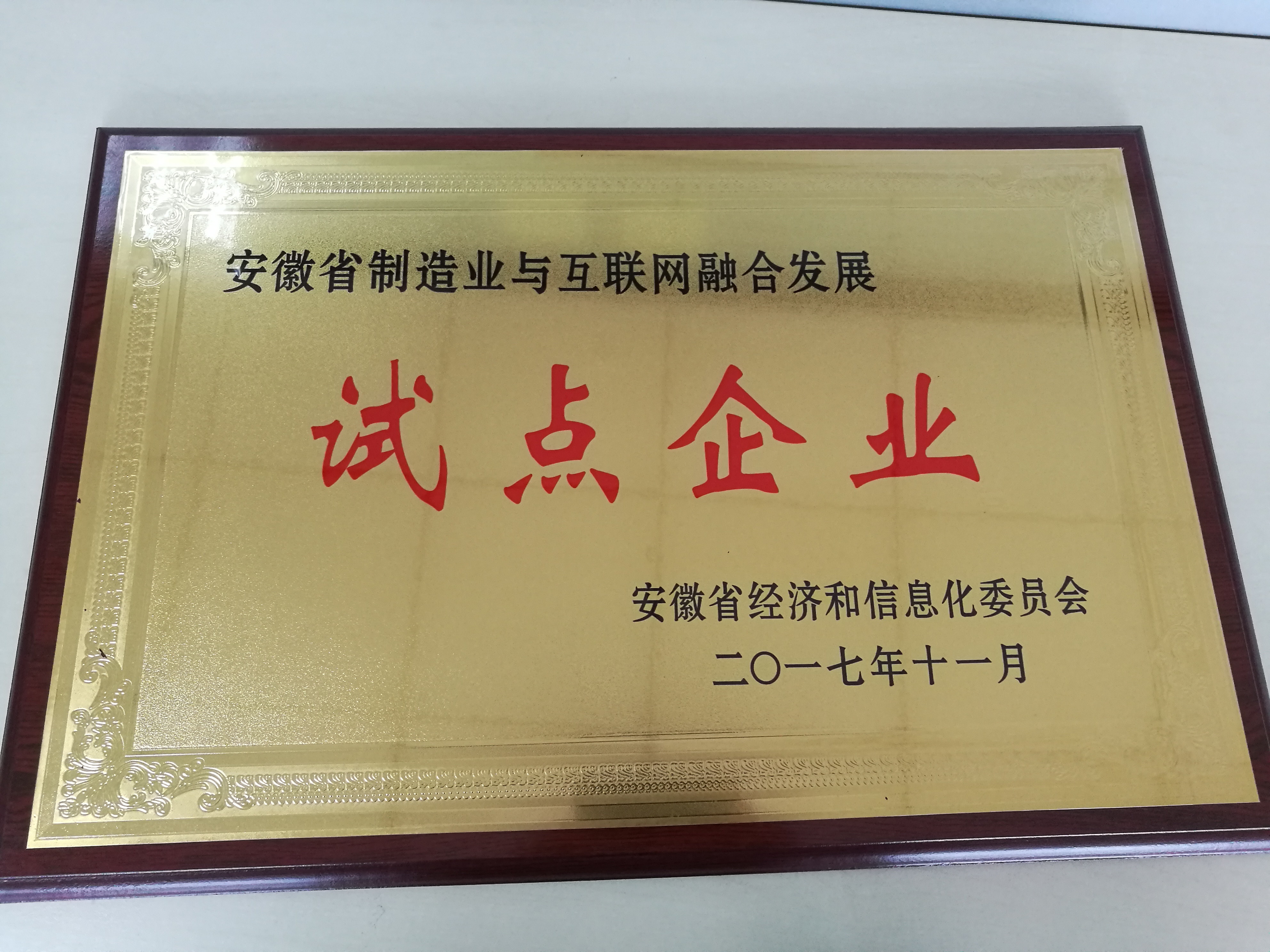 2017安徽省制(zhì)造業(yè)與互聯網融合發展試點企業(yè)